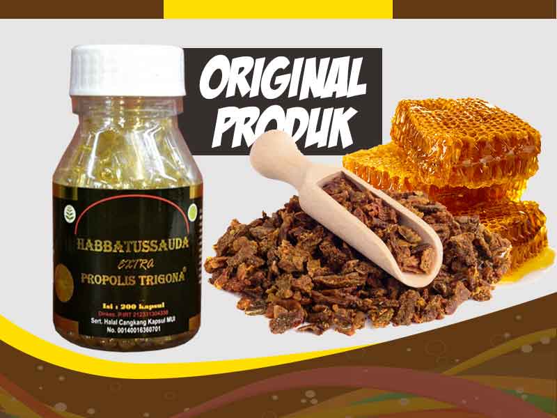 Prolisda Kombinasi Propolis Brazillian Dan Habbatussauda