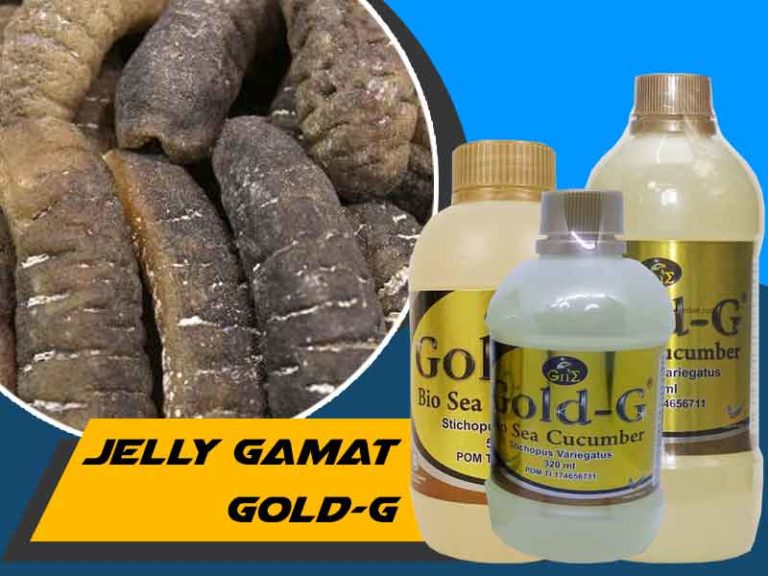 Jelly Gamat Gold Manfaatnya