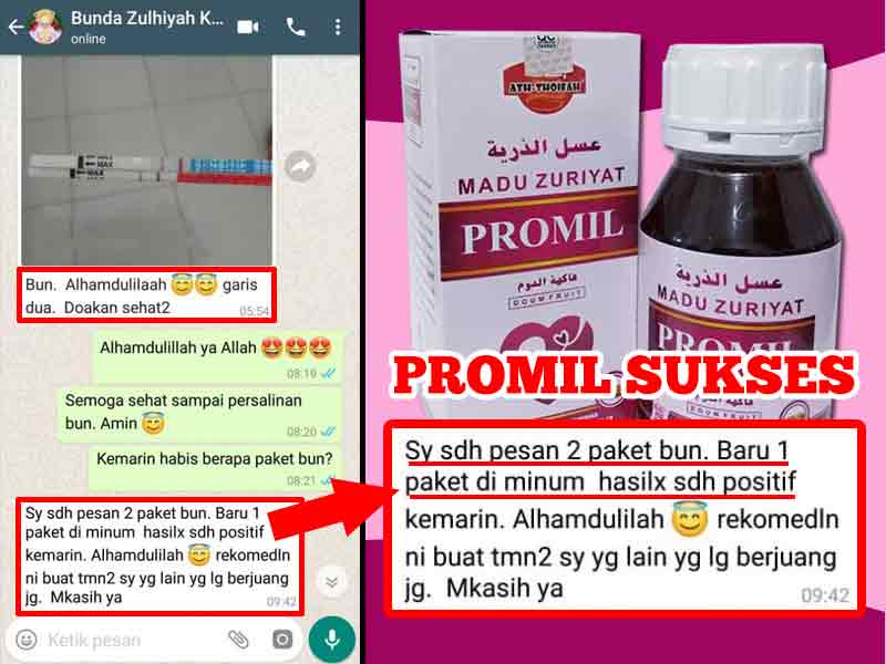 Saffron Untuk Promil Cemantel Youtube